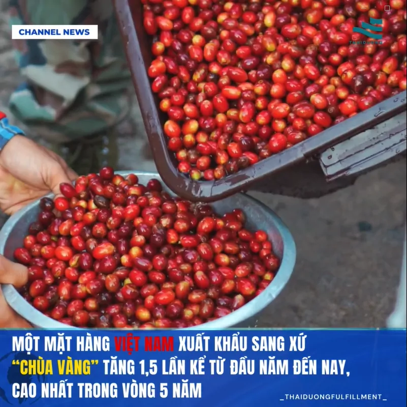 Một mặt hàng Việt Nam xuất khẩu sang xứ “chùa Vàng” tăng 1,5 lần kể từ đầu năm đến nay, cao nhất trong vòng 5 năm